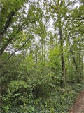 Image du bien APR740951